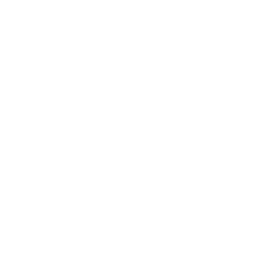 Future Business School